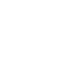 C3 Logo